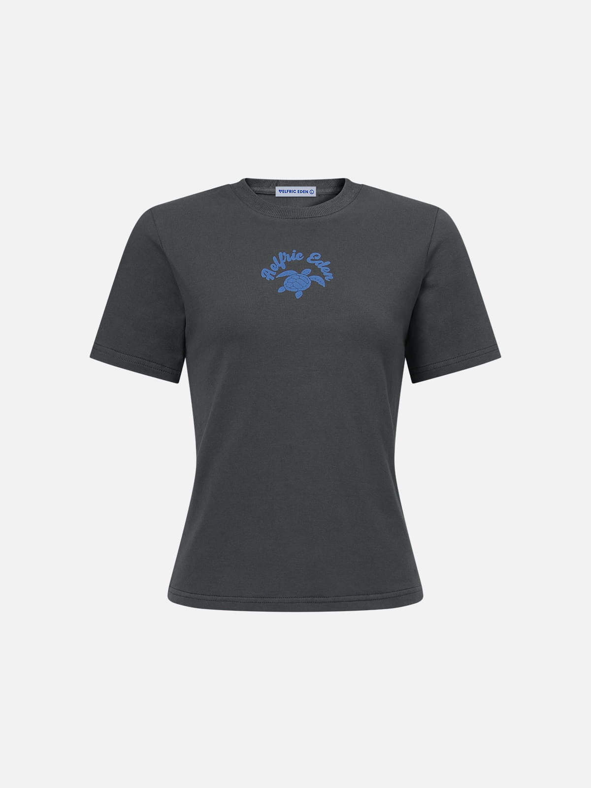 Aelfric Eden Turtle Graphic Baby Tee