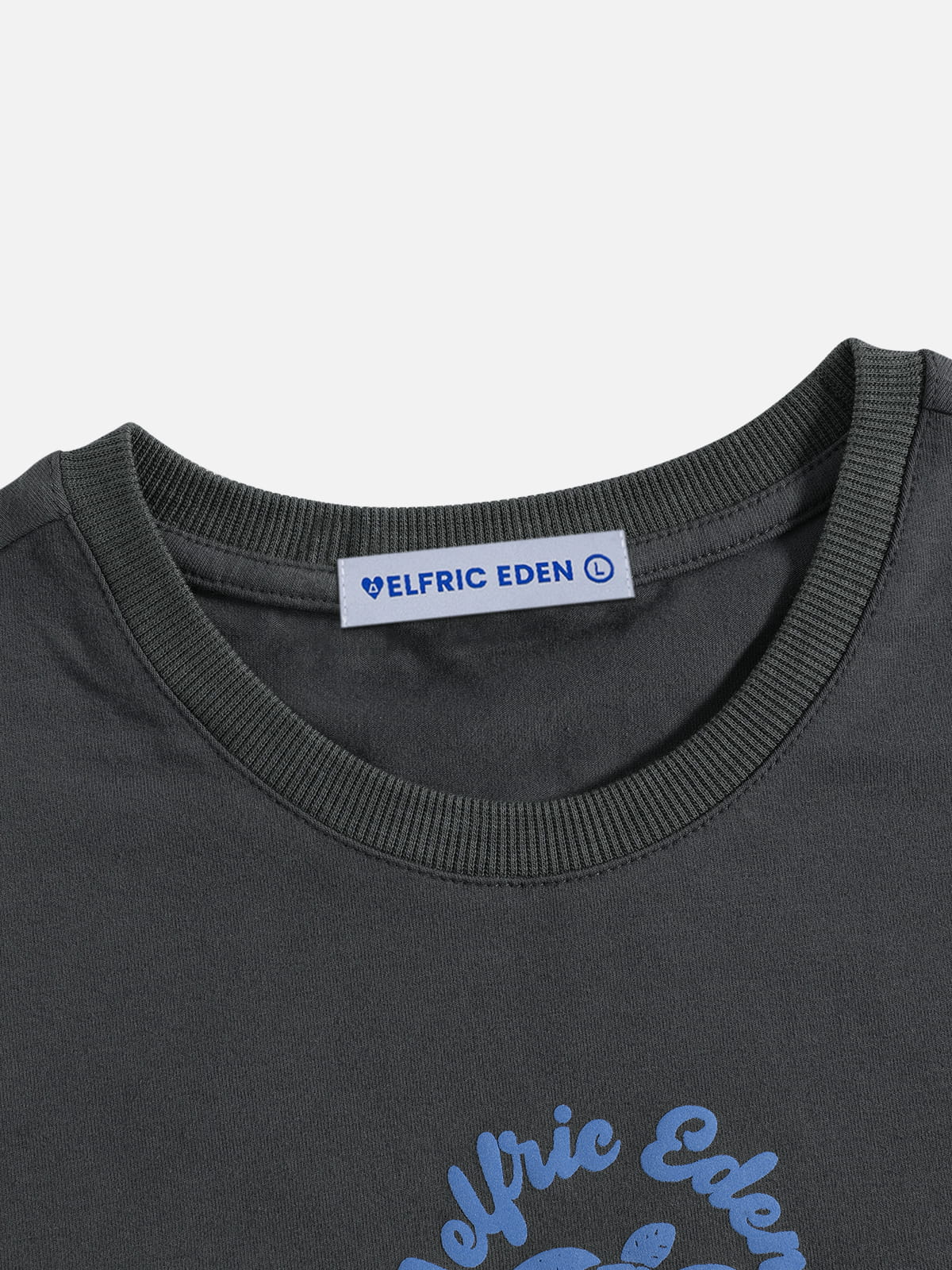 Aelfric Eden Turtle Graphic Baby Tee