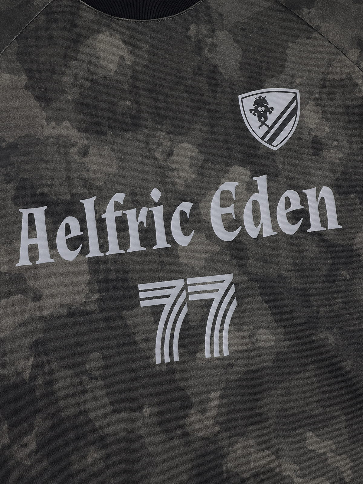 Aelfric Eden CAMO Graphic Tee