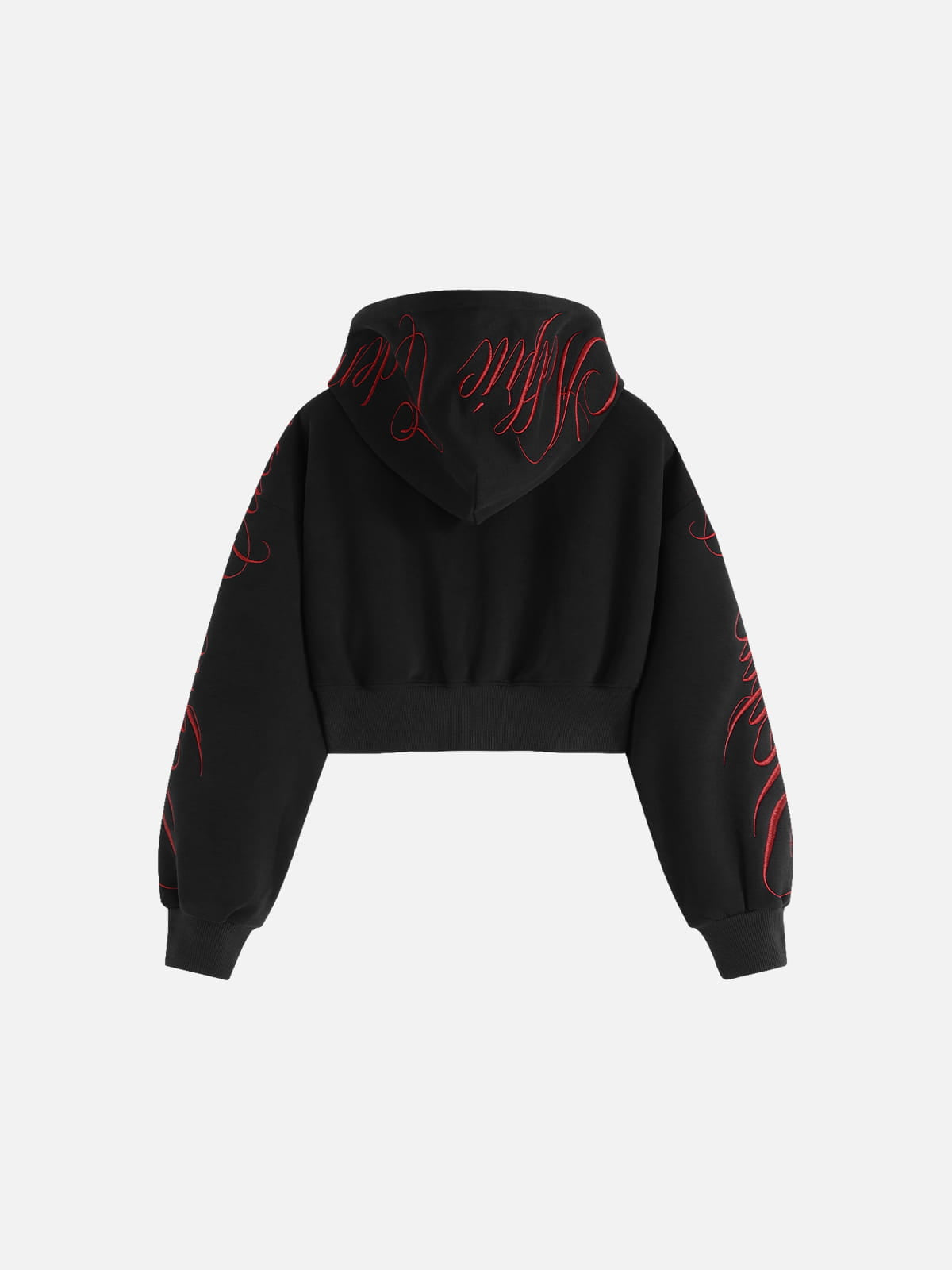 Aelfric Eden Cropped Script Embroidery Zip Up Hoodie