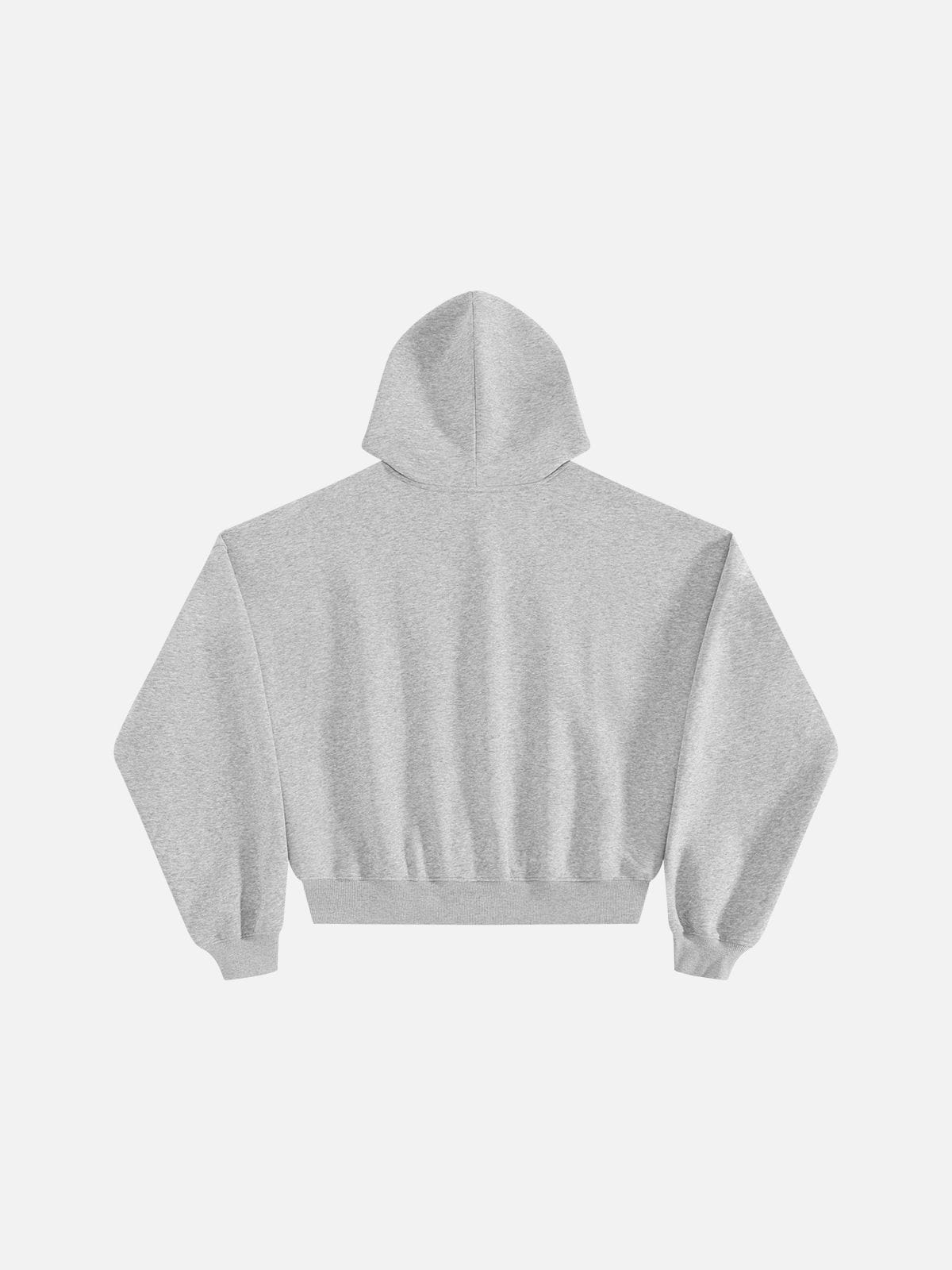 Aelfric Eden Boxy Lined Graphic Pullover Hoodie