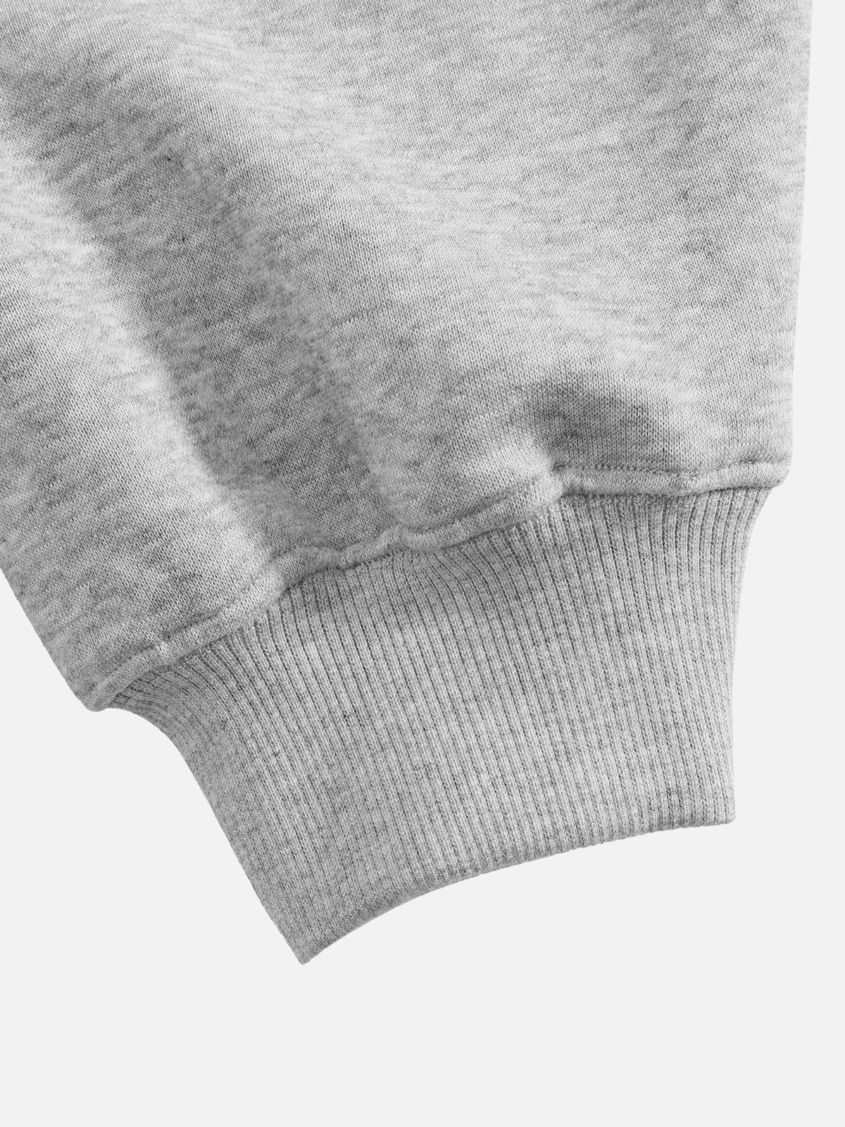 Aelfric Eden Boxy Lined Graphic Pullover Hoodie